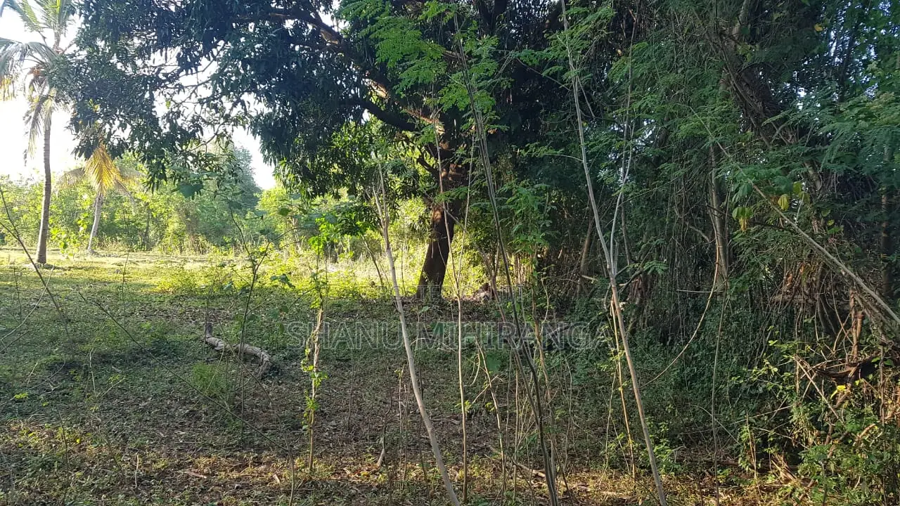 360 Perches Land For Sale In Pannegamuwa, Tissamaharamaya