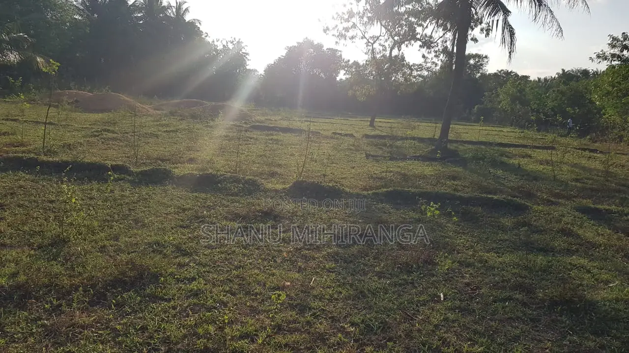 360 Perches Land For Sale In Pannegamuwa, Tissamaharamaya