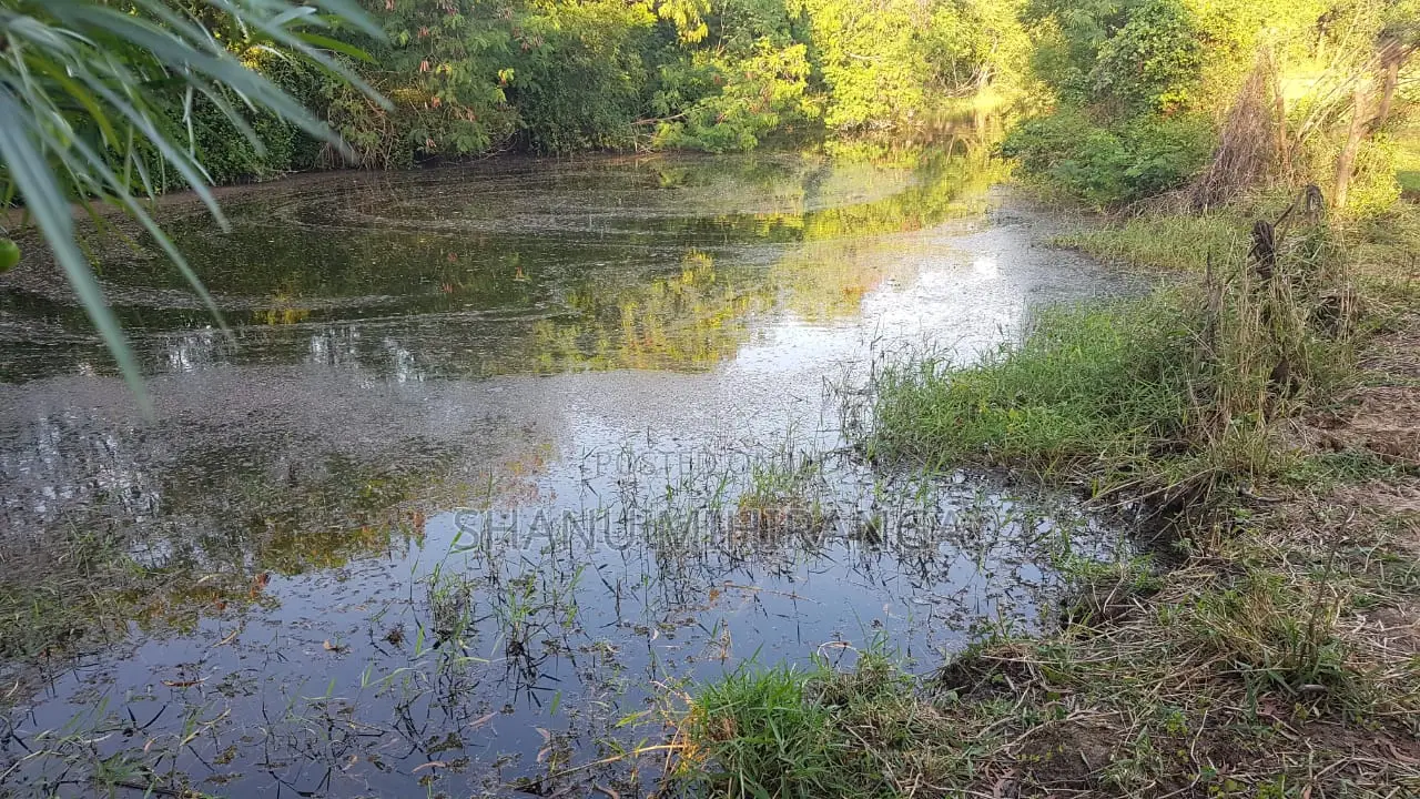 360 Perches Land For Sale In Pannegamuwa, Tissamaharamaya