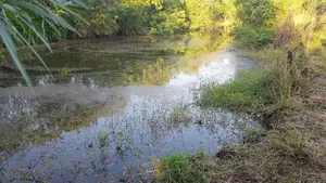 360 Perches Land For Sale In Pannegamuwa, Tissamaharamaya