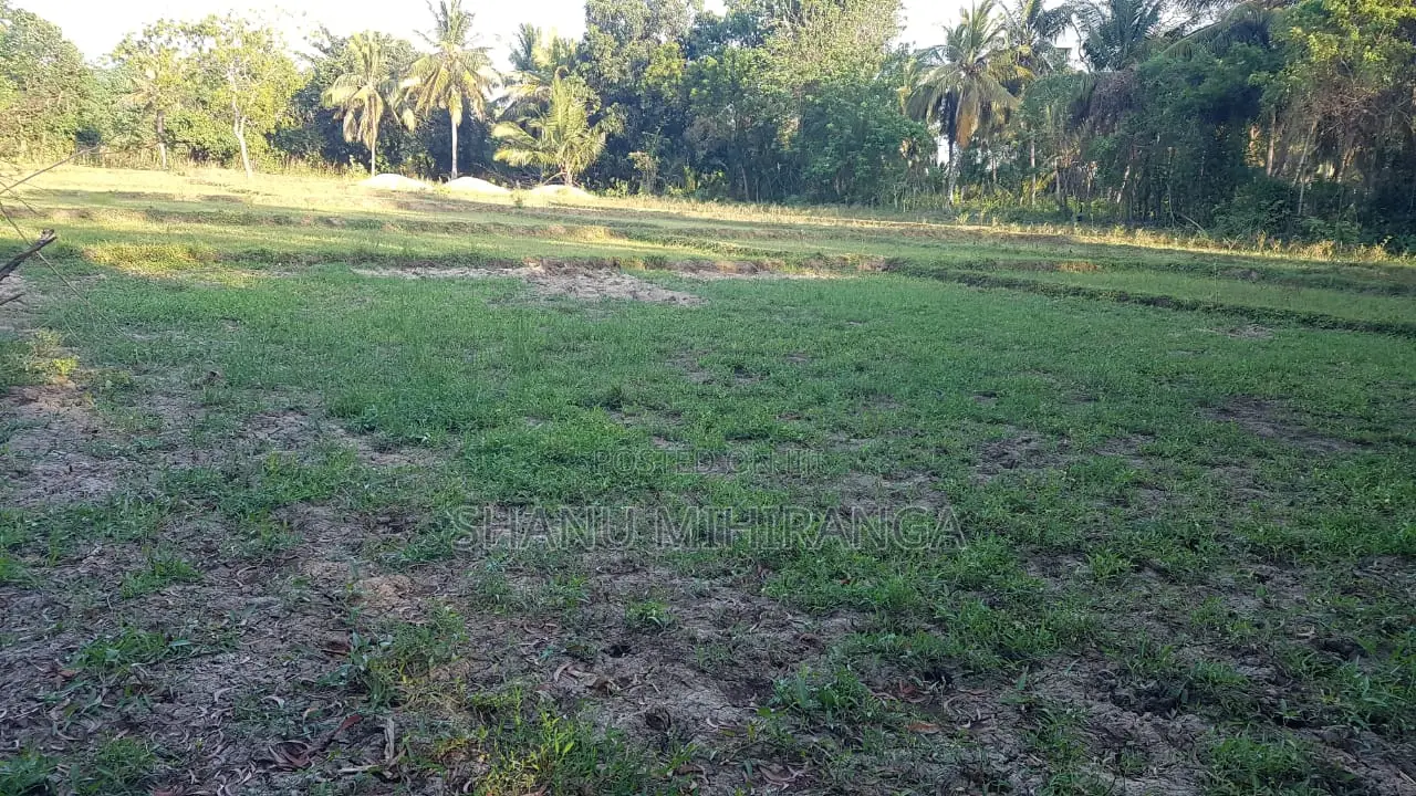 360 Perches Land For Sale In Pannegamuwa, Tissamaharamaya