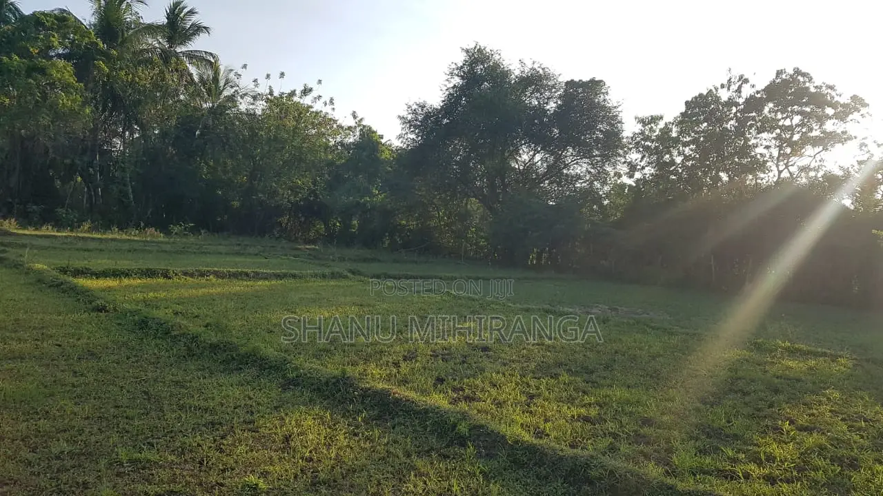 360 Perches Land For Sale In Pannegamuwa, Tissamaharamaya