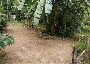 Photo - Land for Sale