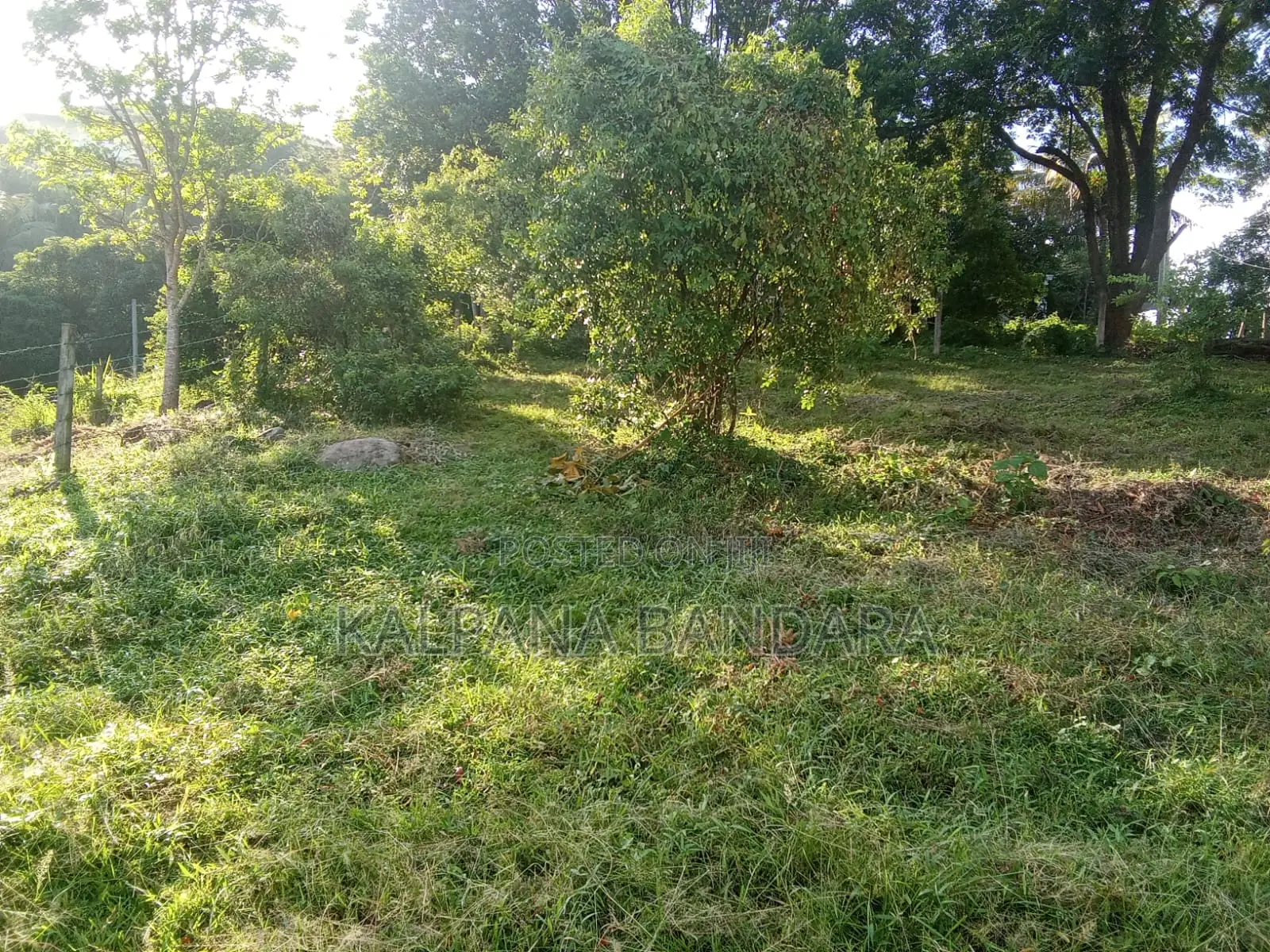 Commercial and Residential Land for Sale in Pallekale.