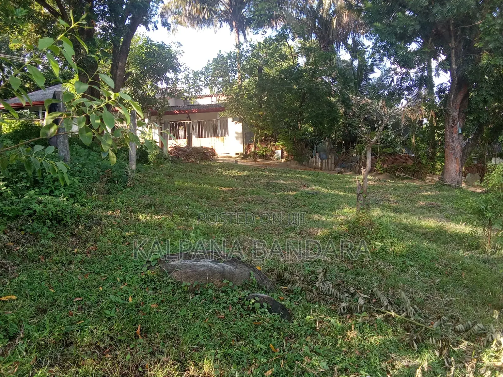 Commercial and Residential Land for Sale in Pallekale.