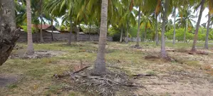 Tourism Potential Land for Sale