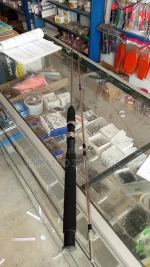 Fishing Rod