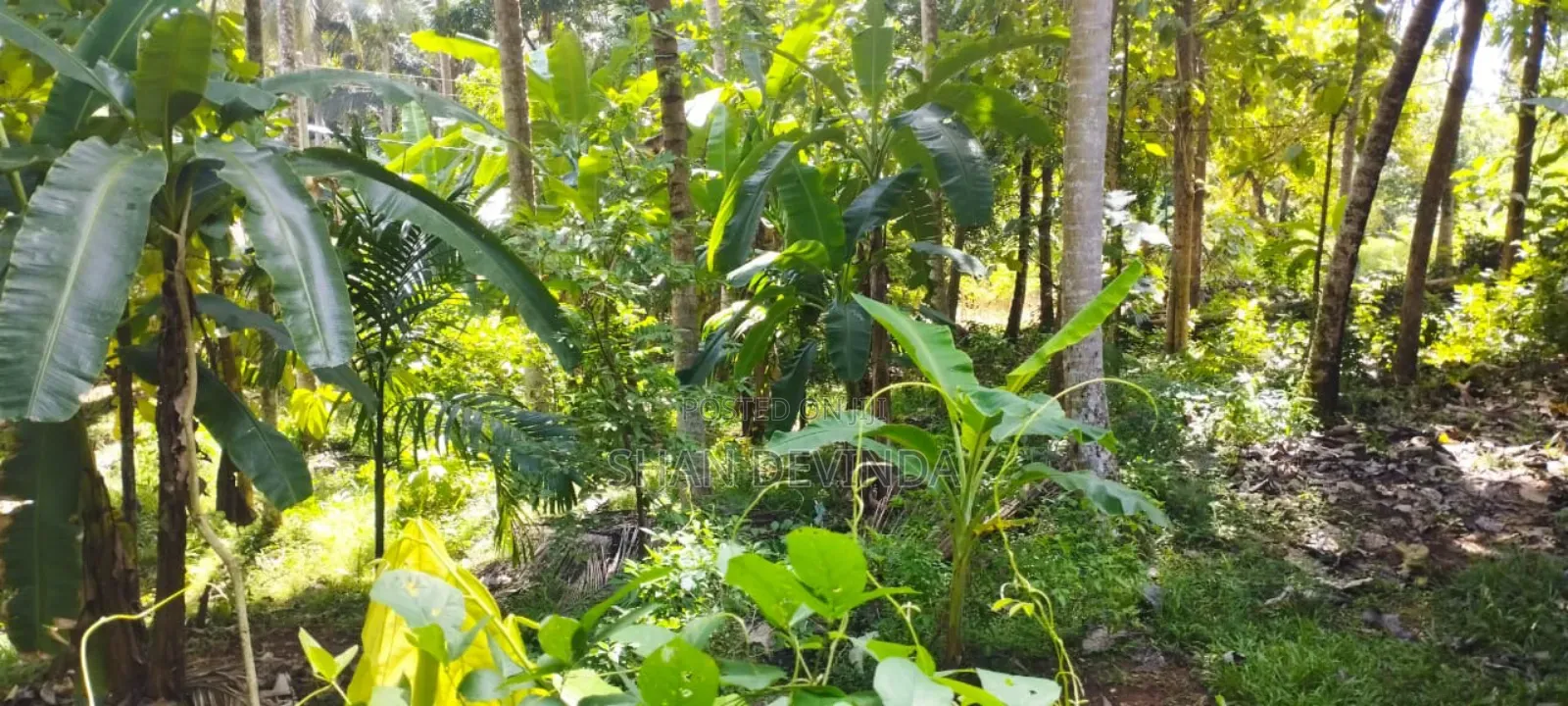 3bdrm House in Kurunegala City for sale