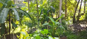 3bdrm House in Kurunegala City for sale