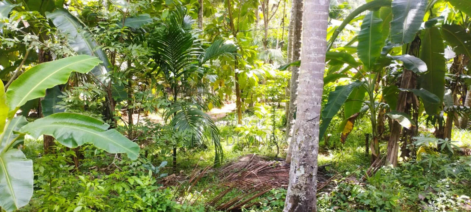 3bdrm House in Kurunegala City for sale