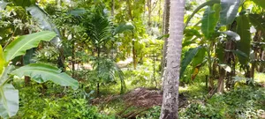 3bdrm House in Kurunegala City for sale