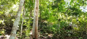 3bdrm House in Kurunegala City for sale