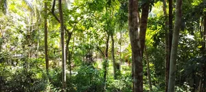 3bdrm House in Kurunegala City for sale