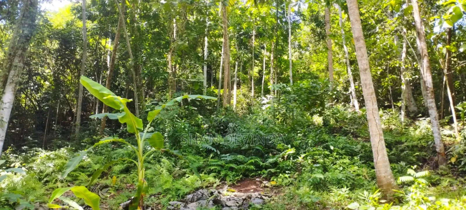 3bdrm House in Kurunegala City for sale