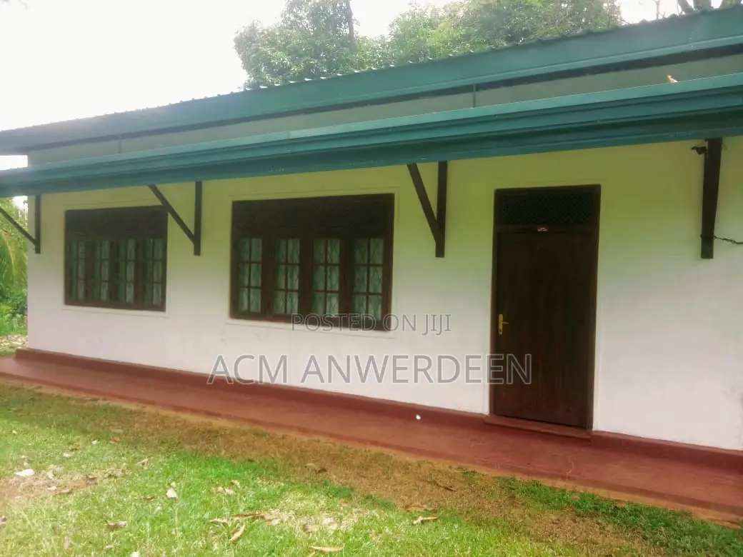 Tea Estate Sale 10 Acres In Kandy District