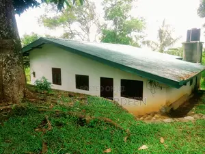 Tea Estate Sale 10 Acres In Kandy District