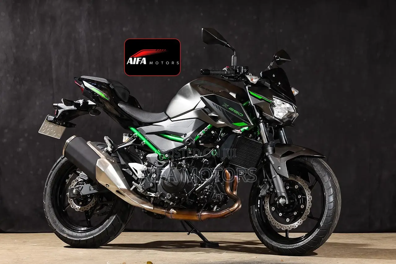 New Kawasaki 2025 Gray