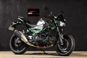 Photo - New Kawasaki 2025 Gray