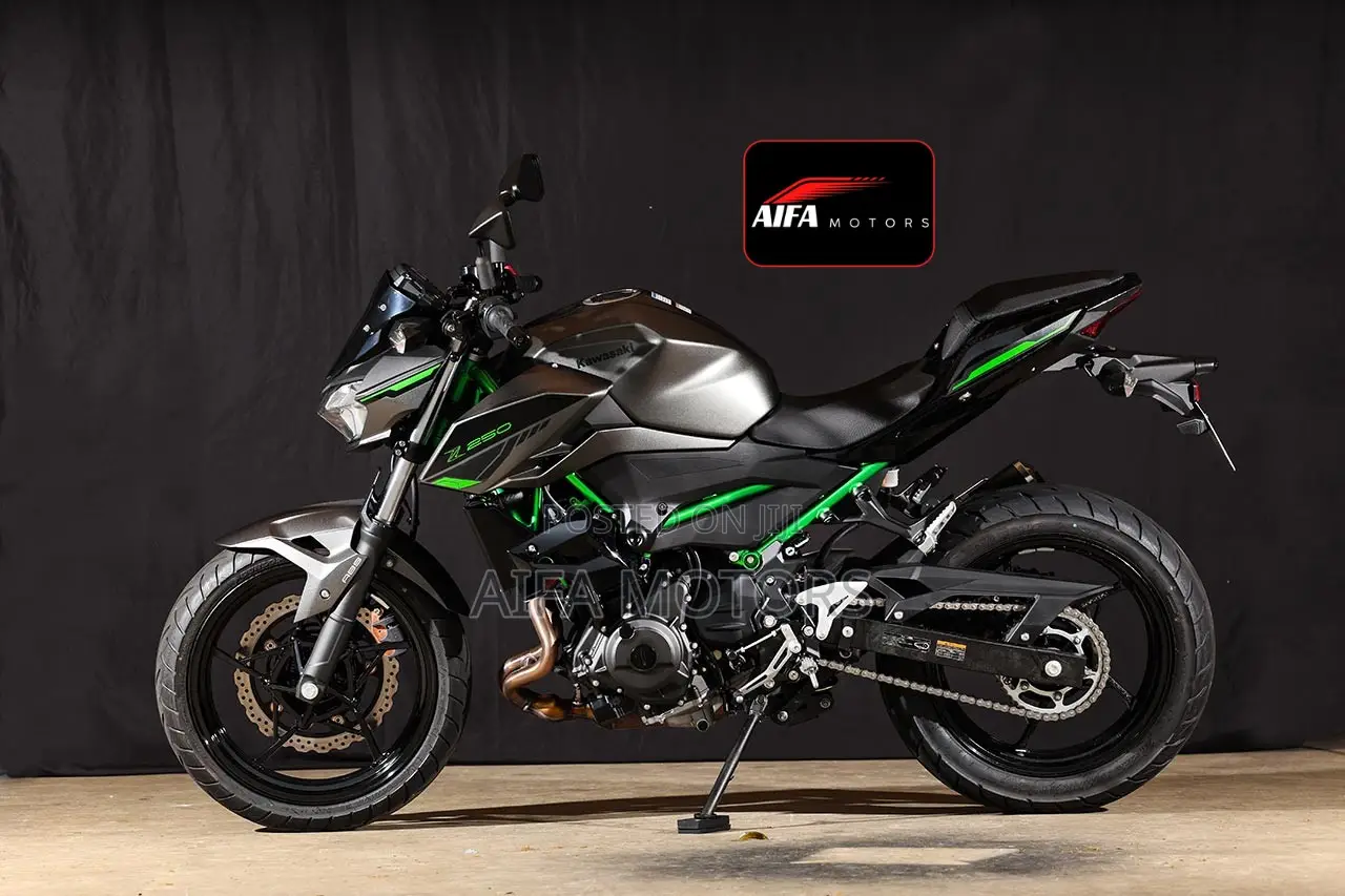 New Kawasaki 2025 Gray