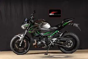 New Kawasaki 2025 Gray