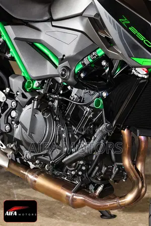 New Kawasaki 2025 Gray