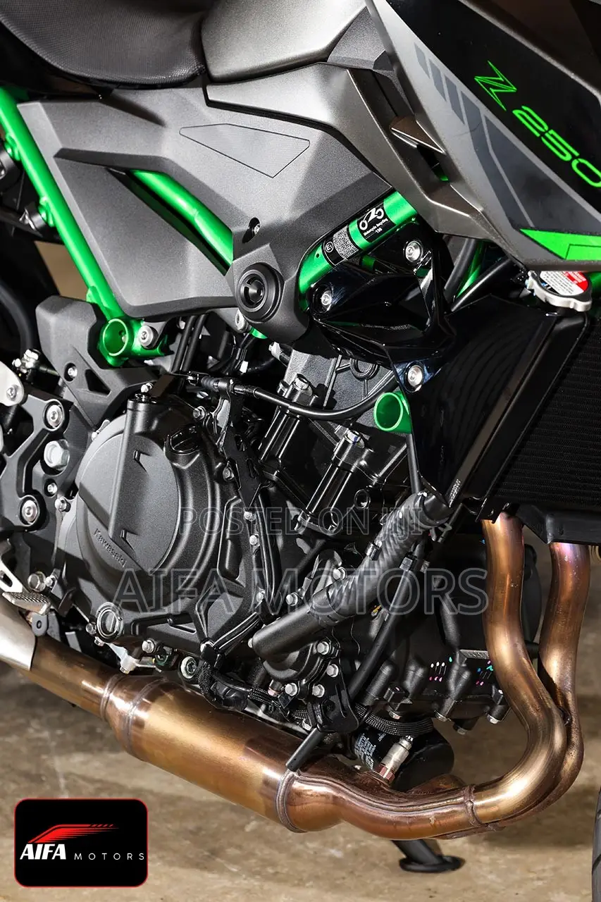 New Kawasaki 2025 Gray