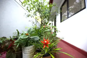 Furnished 1bdrm Villa in New Look Villa, Kamburugamuwa for rent