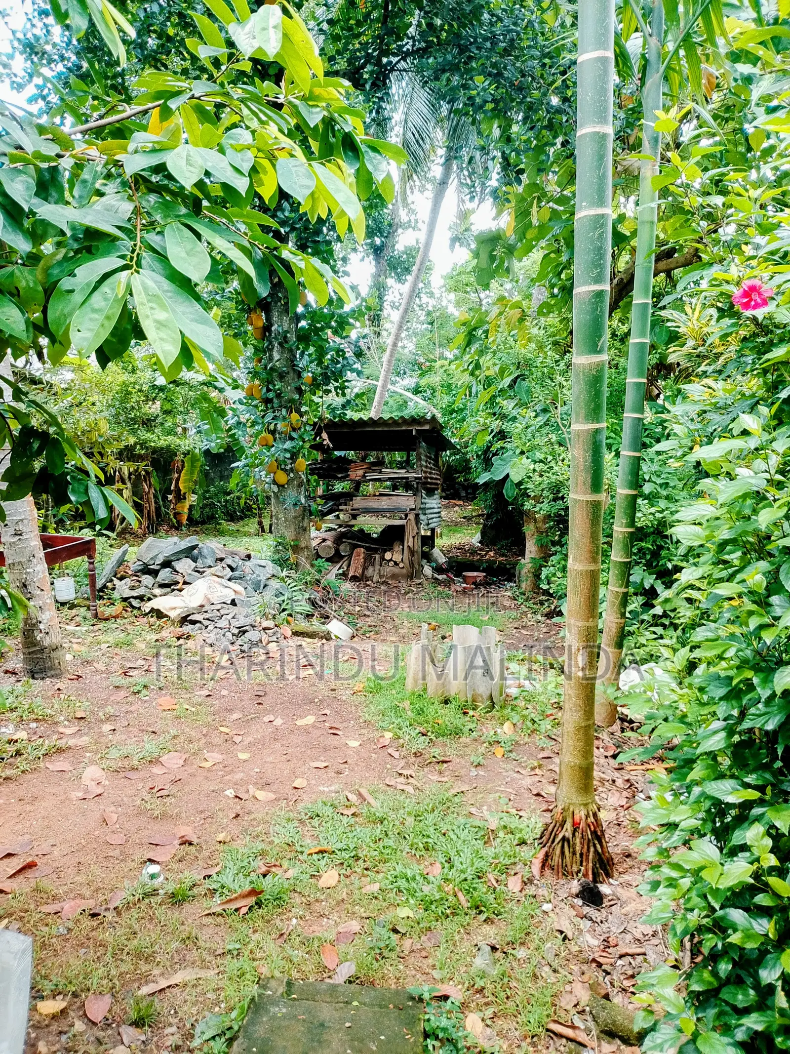 5bdrm House in Land With House Sale, Kotte for sale