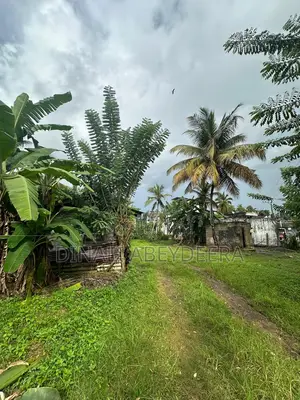 Land for Sale in Piliyandala Bypass Road