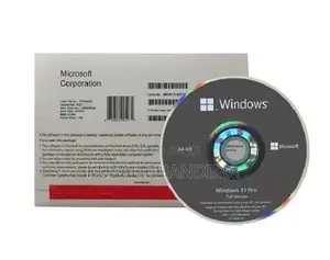 Photo - Microsoft Windows 11 Professional 64-Bit Oei DVD - English