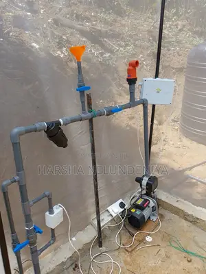 Poly Tunnel / Greenhouse