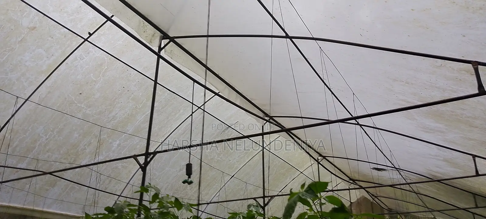 Poly Tunnel / Greenhouse