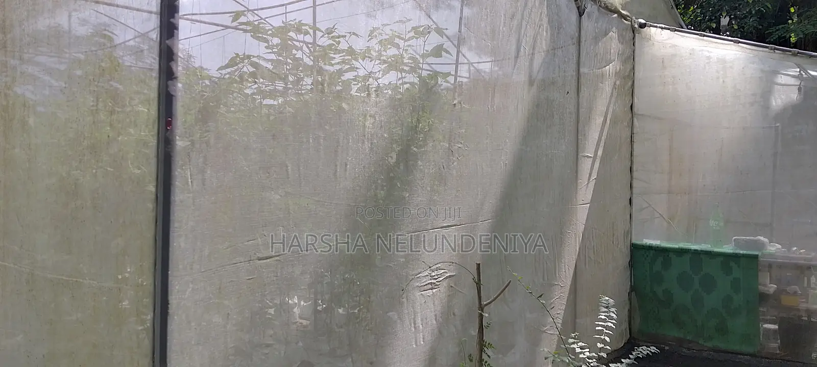 Poly Tunnel / Greenhouse