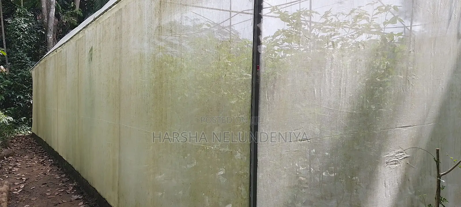 Poly Tunnel / Greenhouse