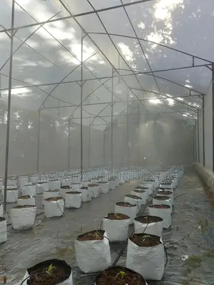 Poly Tunnel / Greenhouse