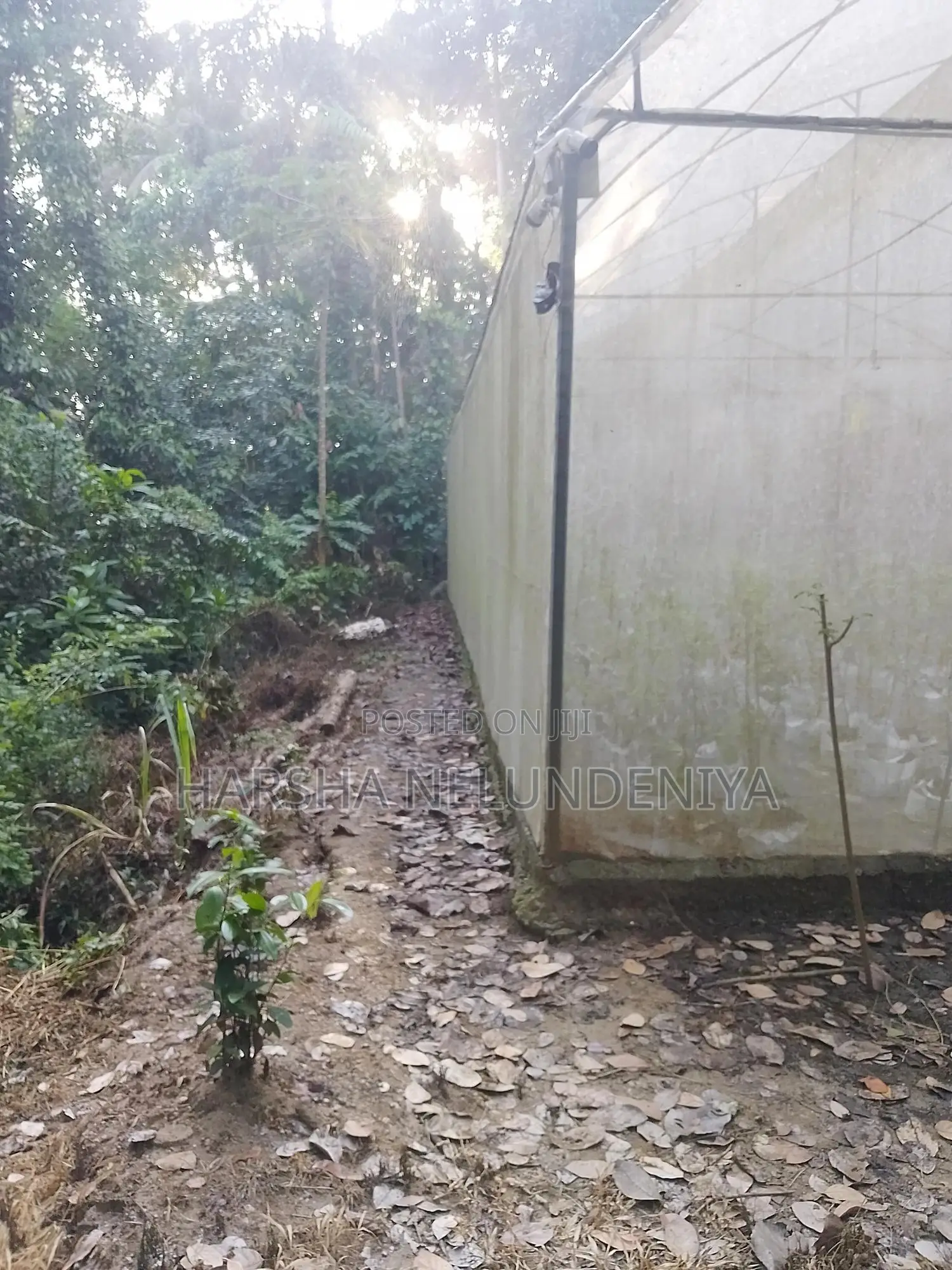 Poly Tunnel / Greenhouse