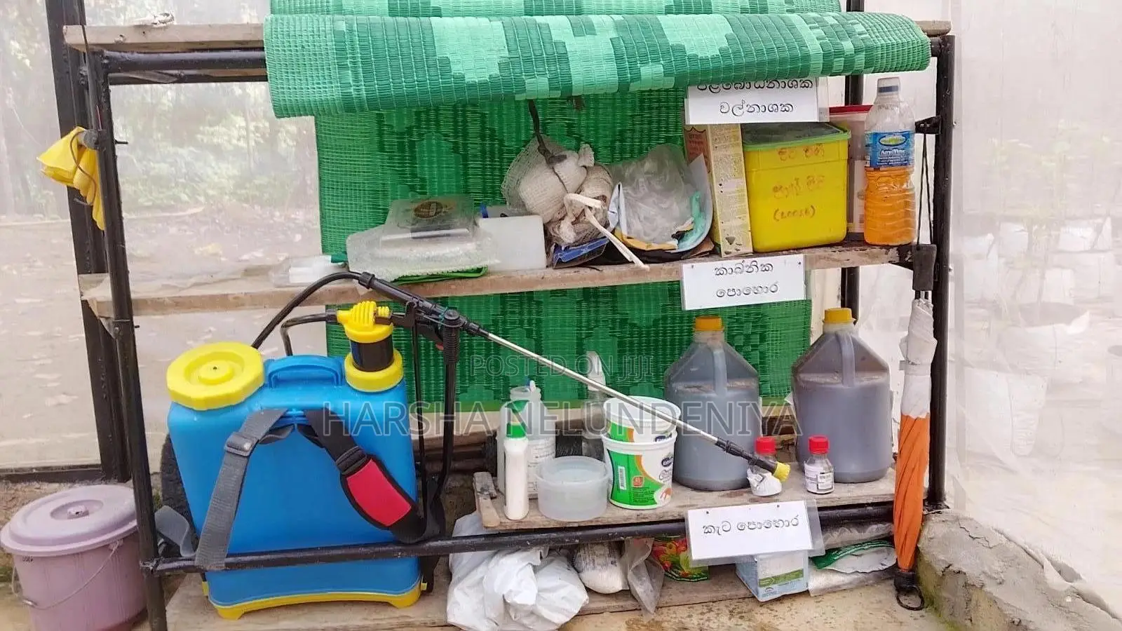 Poly Tunnel / Greenhouse