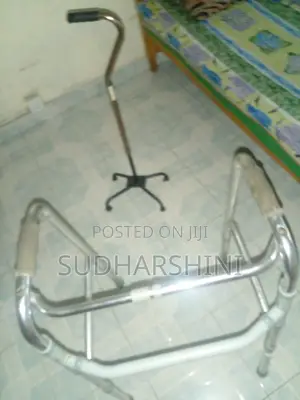 Photo - Walker and Walking Stick