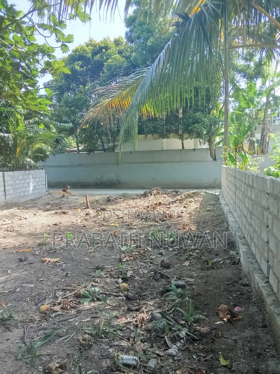 පොල්වත්තේ නියම අවස්ථාව – මාසෙකට ලක්ෂ 3 වඩා අදායමක් ගන්න. Villa