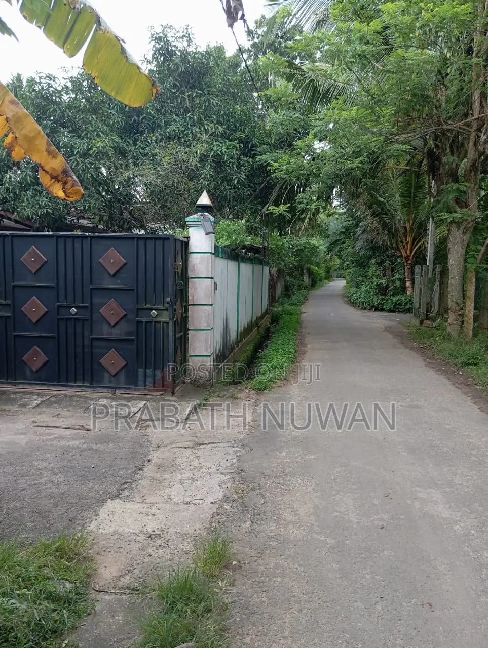 පොල්වත්තේ නියම අවස්ථාව – මාසෙකට ලක්ෂ 3 වඩා අදායමක් ගන්න. Villa