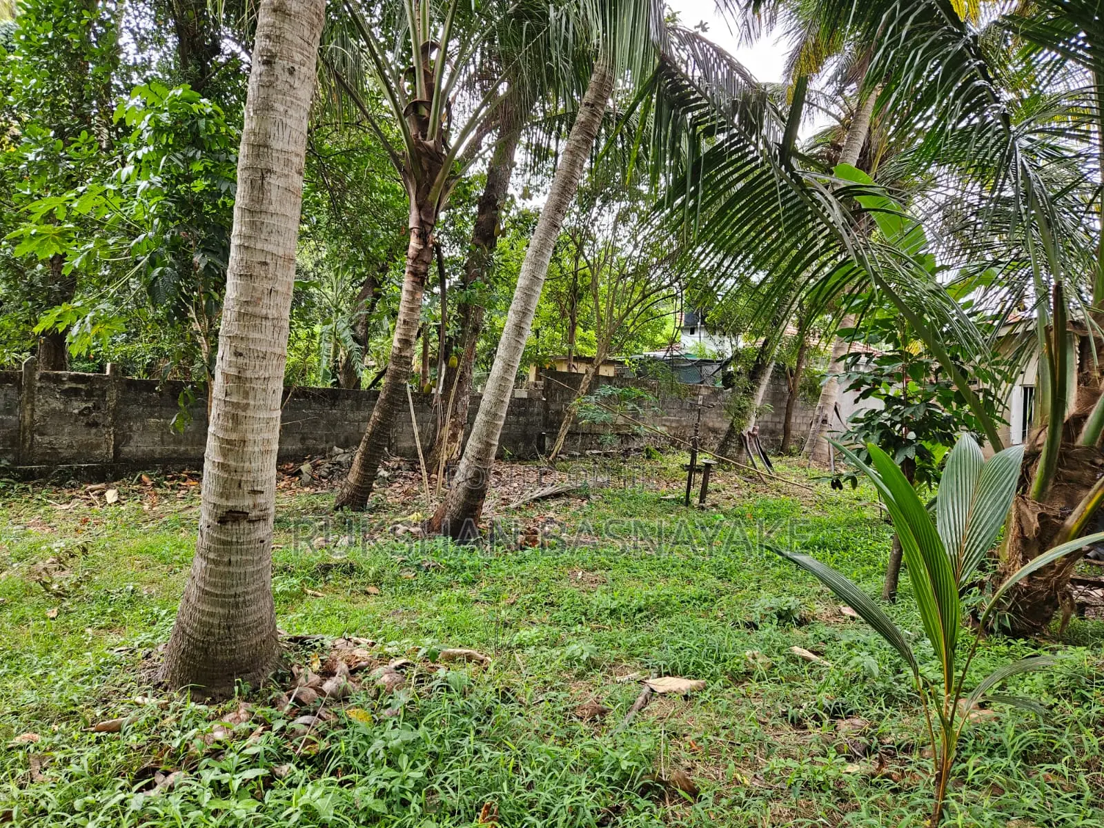 Commercial or Resedential 42.5 Perches Land With House