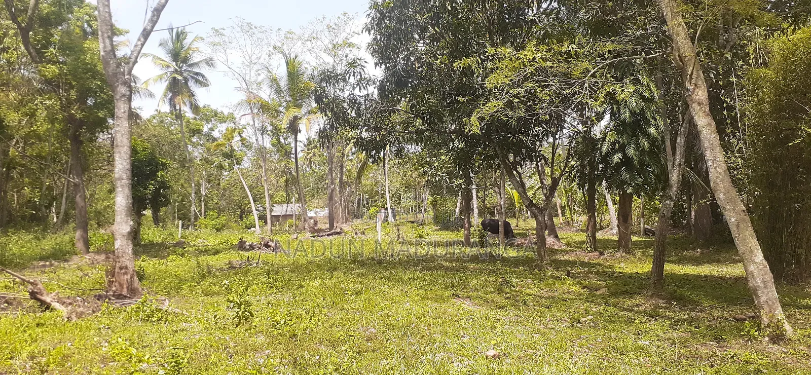 Colombo Anuradhapura Main Road Facing Land for Sale