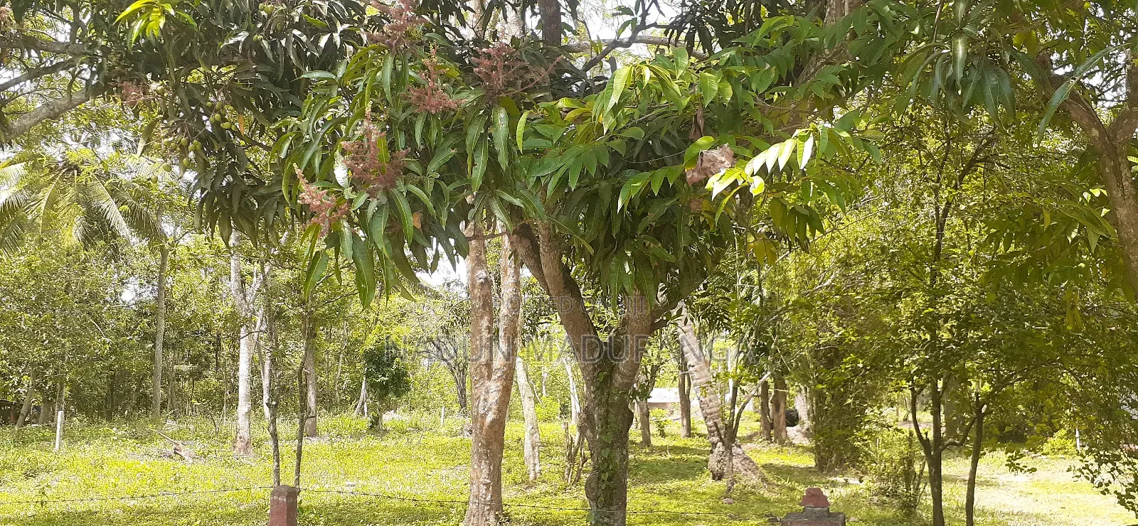 Colombo Anuradhapura Main Road Facing Land for Sale