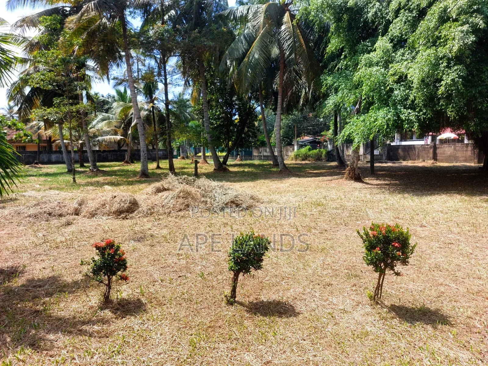 Land for Sale in Ja Ela