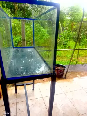 Fish Tank With Full Set