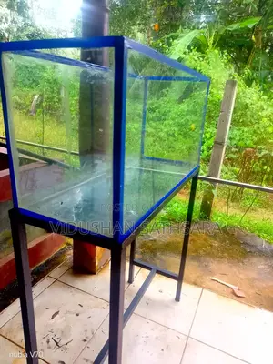 Fish Tank With Full Set