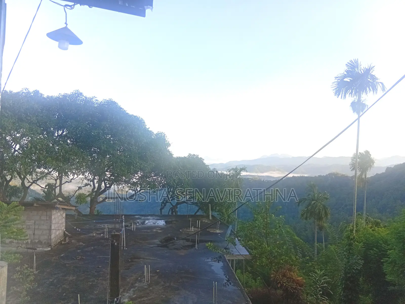 House With Tea Land for Sale