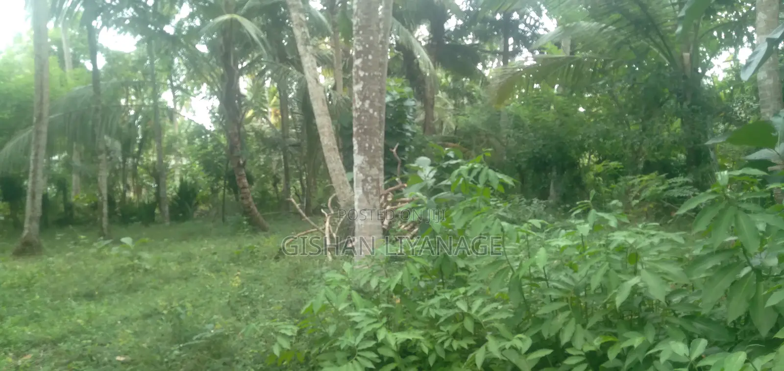 Furnished 3bdrm House in Narammala for sale