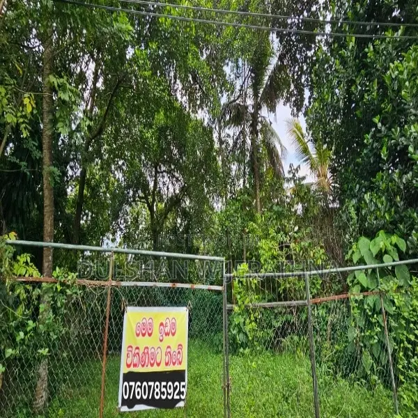 Land for Sale in Himbutana, Near Koswatta, Battaramulla