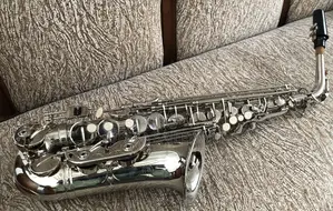Maxtone Alto Saxaphone
